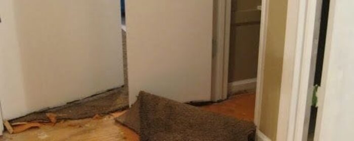 carpet removal